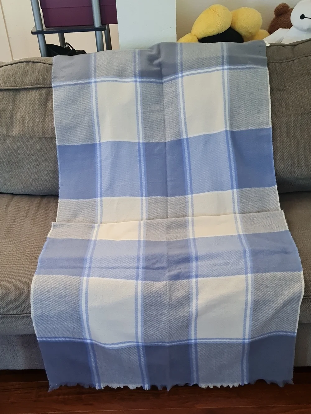 💥3for$15💥Blue and Cream Plaid Scarf